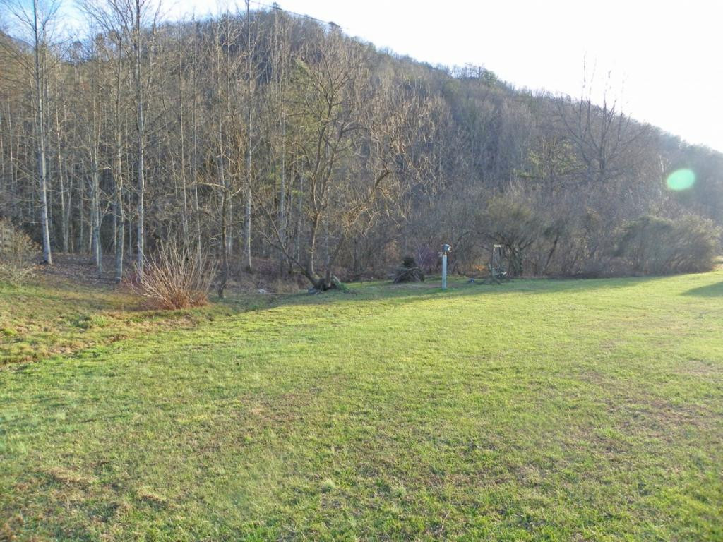 9038 Mendota Road Mendota, VA 24270 - Photo 10 of 17 side back yard