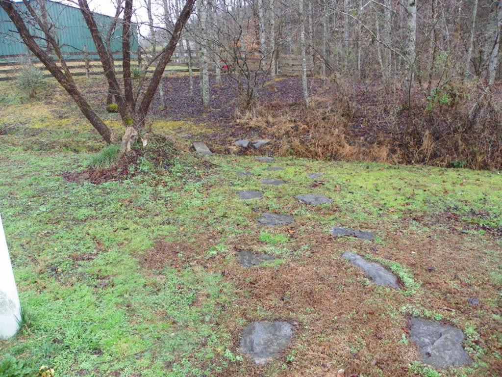 9038 Mendota Road Mendota, VA 24270 - Photo 11 of 17 Walking paths