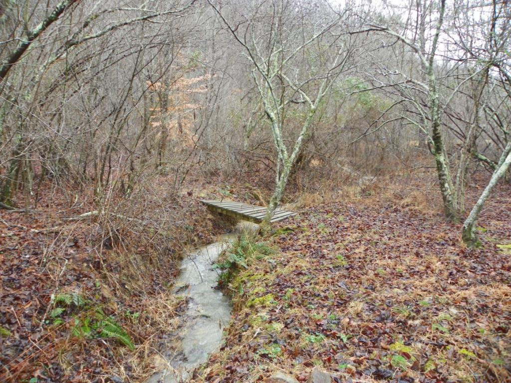 9038 Mendota Road Mendota, VA 24270 - Photo 12 of 17 Foot bridge 1 of 3