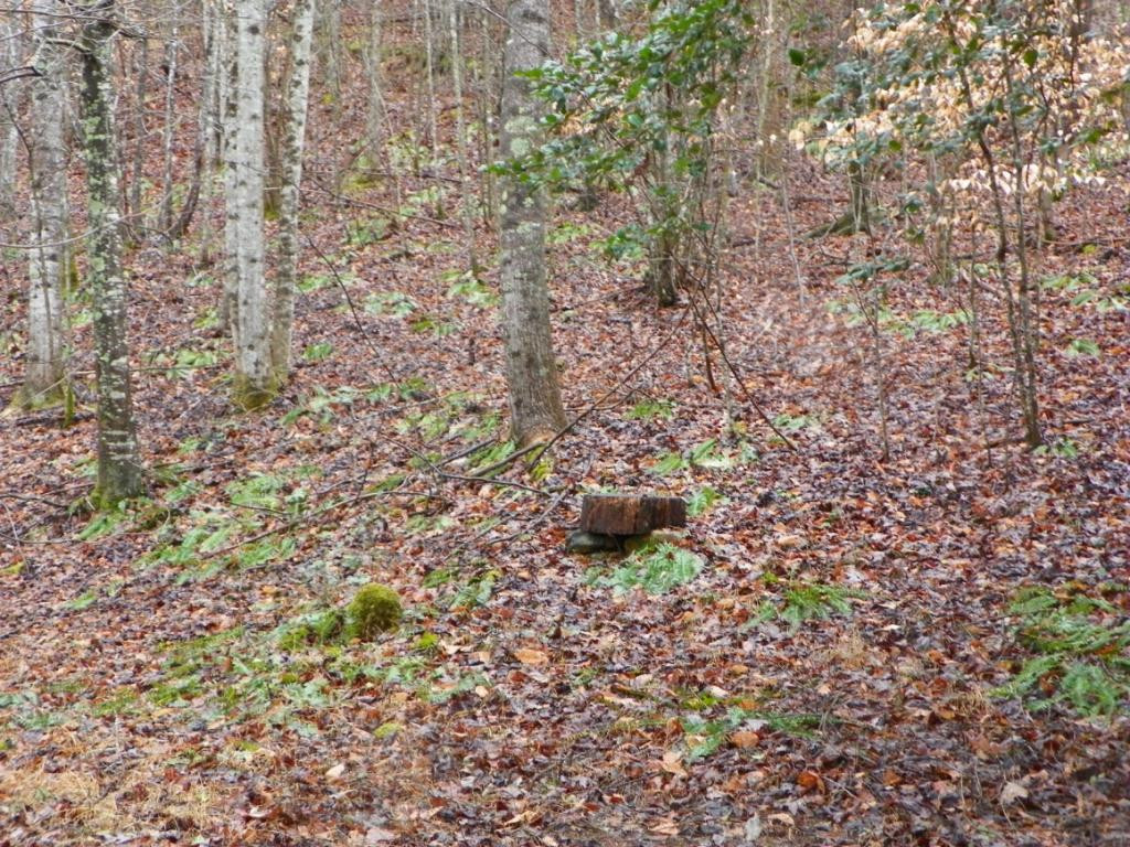 9038 Mendota Road Mendota, VA 24270 - Photo 15 of 17 More natural seating