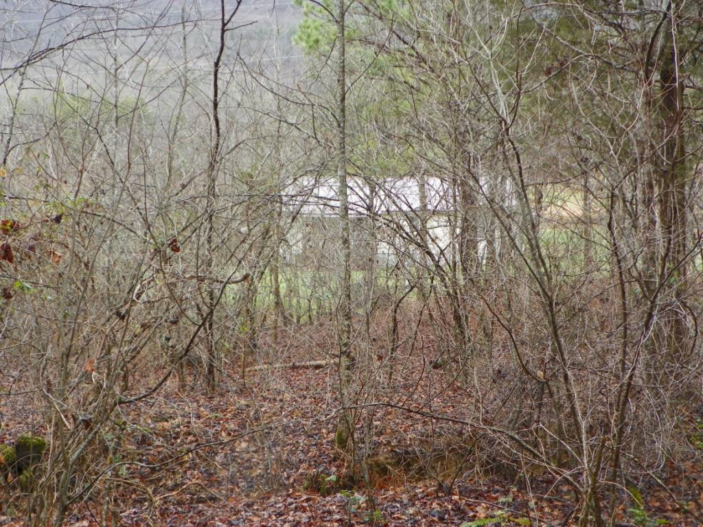 9038 Mendota Road Mendota, VA 24270 - Photo 16 of 17 Isnt this Enchanting