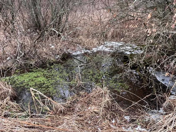 $574,000 | 30895 Brookside Lane, Blue River, WI 53518