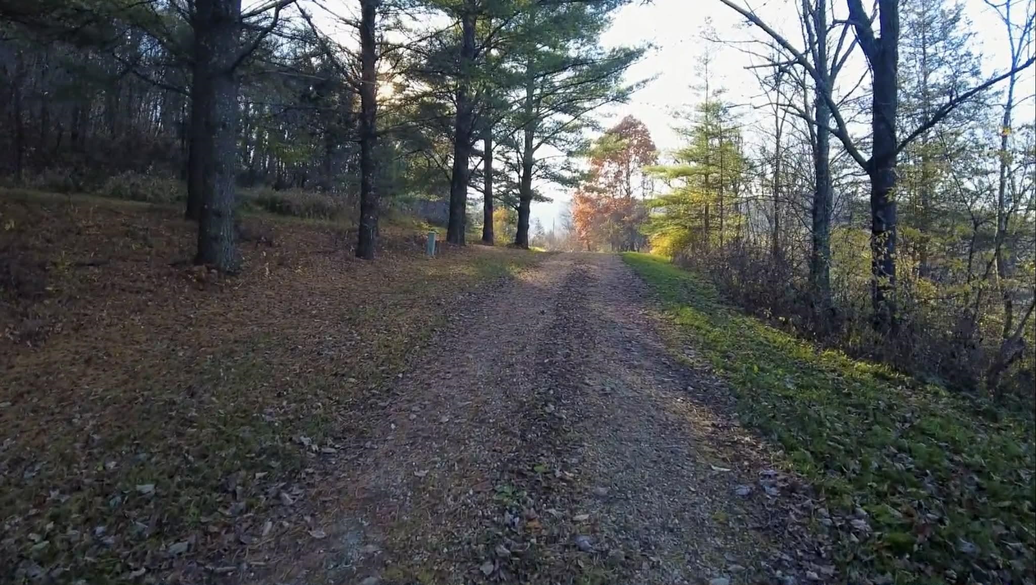 30895 Brookside Lane Blue River, WI 53518 - Photo 37 of 80