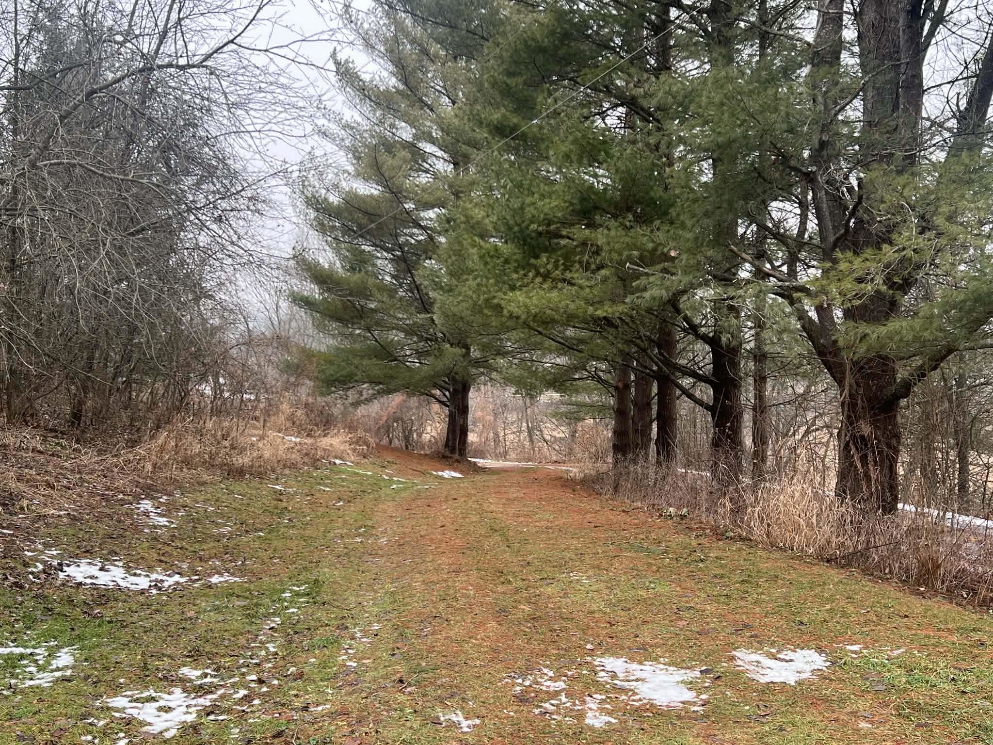 30895 Brookside Lane Blue River, WI 53518 - Photo 55 of 80