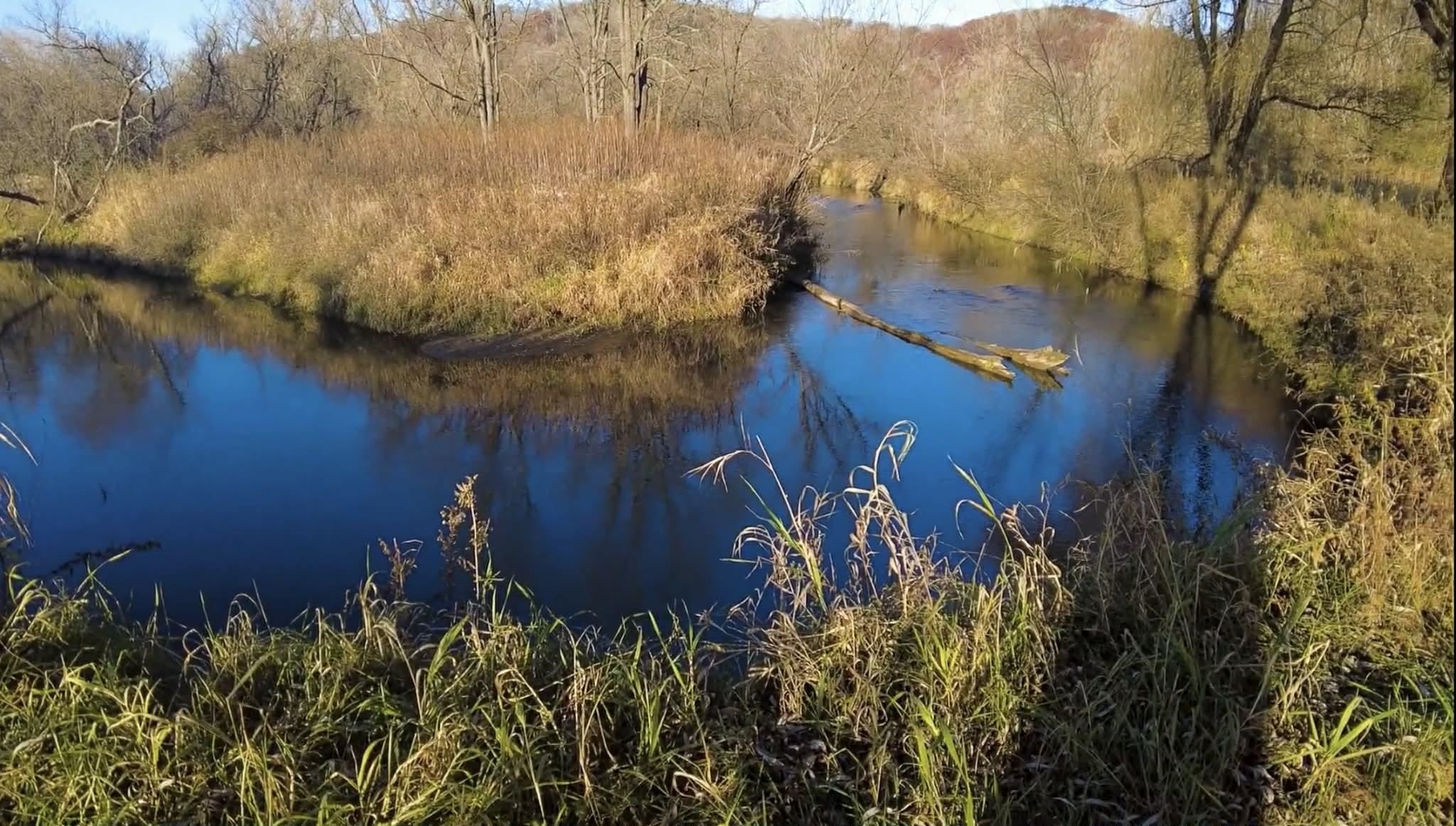 30895 Brookside Lane Blue River, WI 53518 - Photo 58 of 80