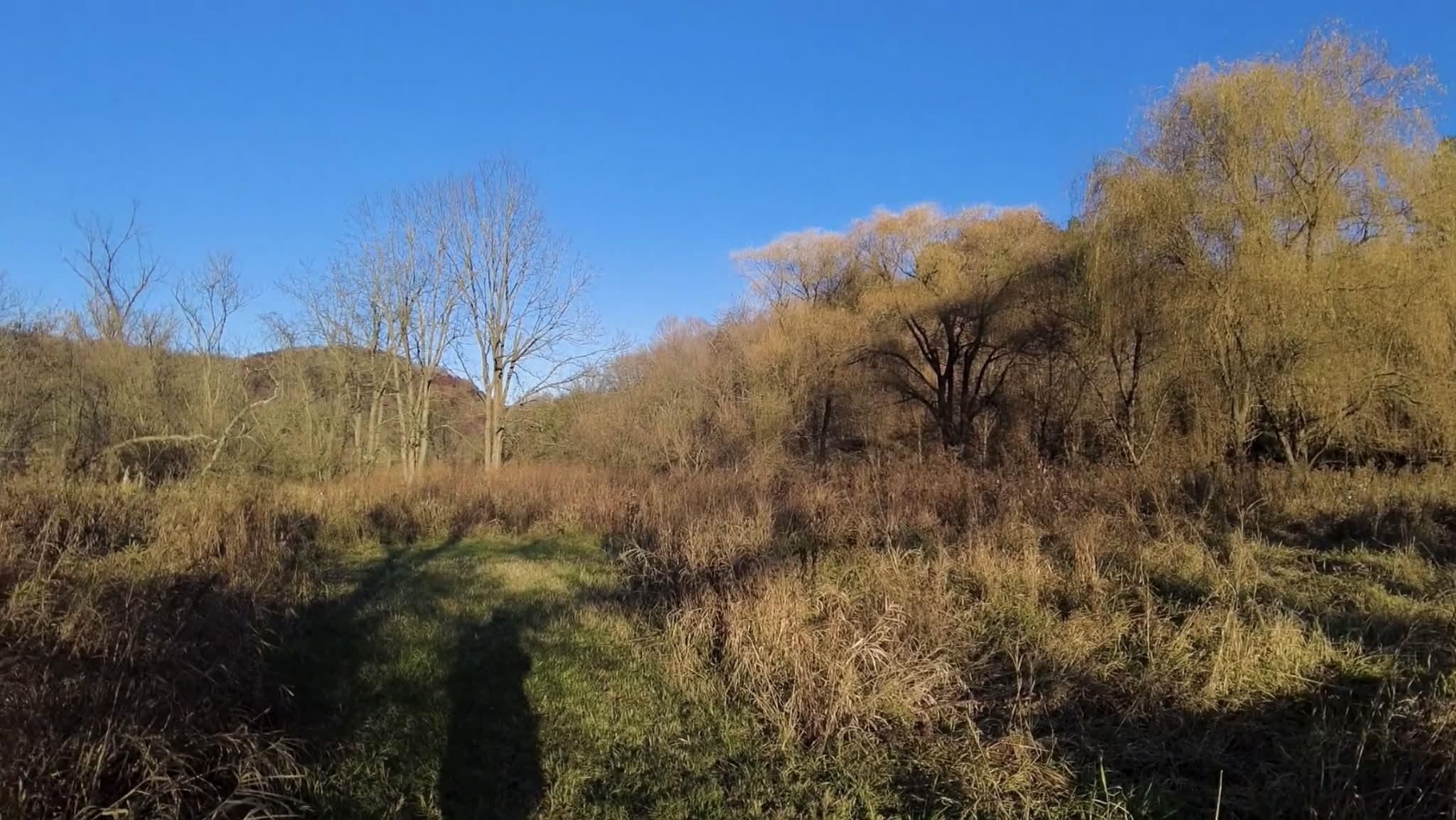 30895 Brookside Lane Blue River, WI 53518 - Photo 60 of 80