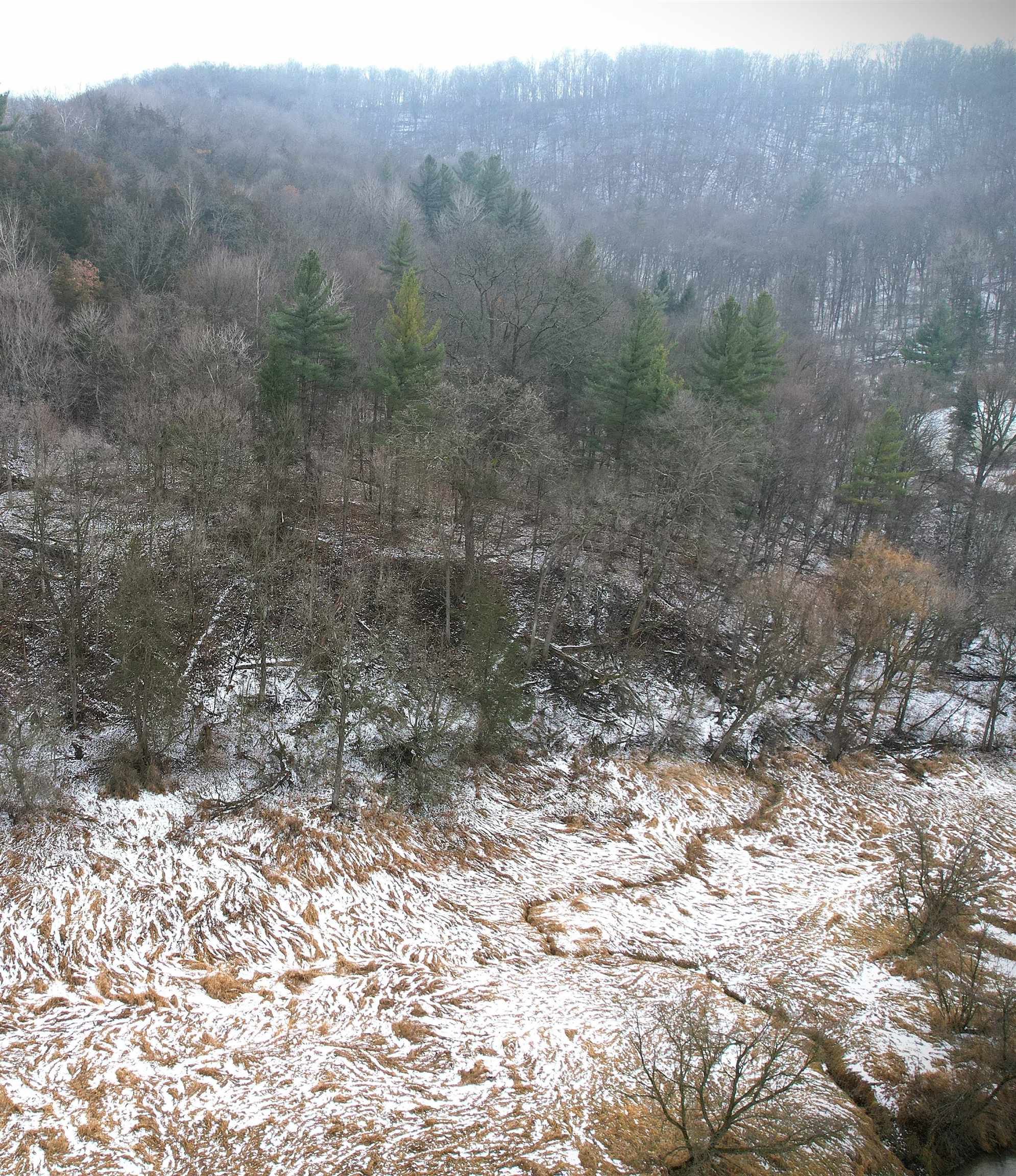 30895 Brookside Lane Blue River, WI 53518 - Photo 69 of 80