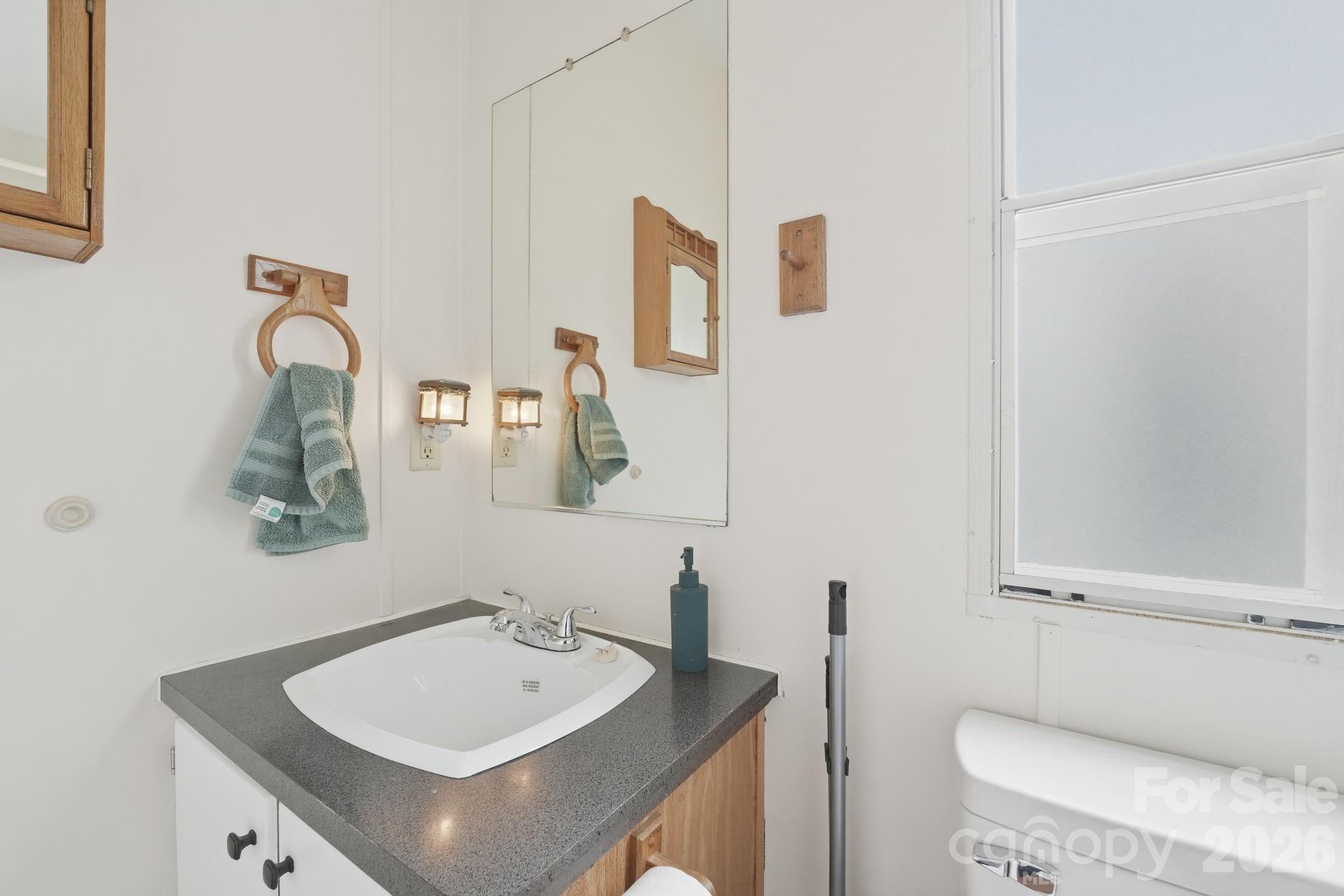 2862 Eagle Point Drive Trinity, NC 27370 - Photo 20 of 31 a bathroom with a sink and a mirror