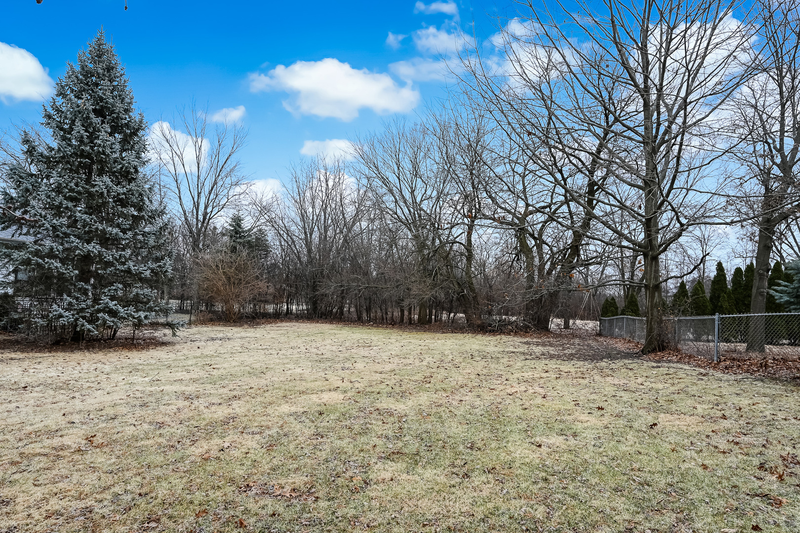 1333 South Ridge Road Willowbrook, IL 60527 - Photo 5 of 5