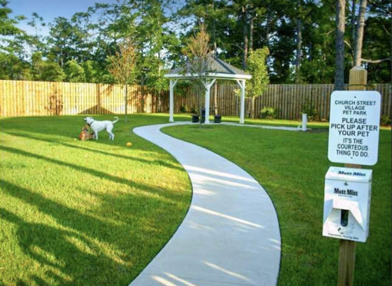 162 Christian Drive Santa Rosa Beach, FL 32459 - Photo 41 of 47 Dog Park