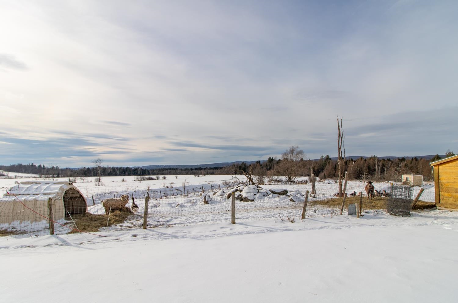 267 Hill Road Fairfield, VT 05455 - Photo 28 of 40