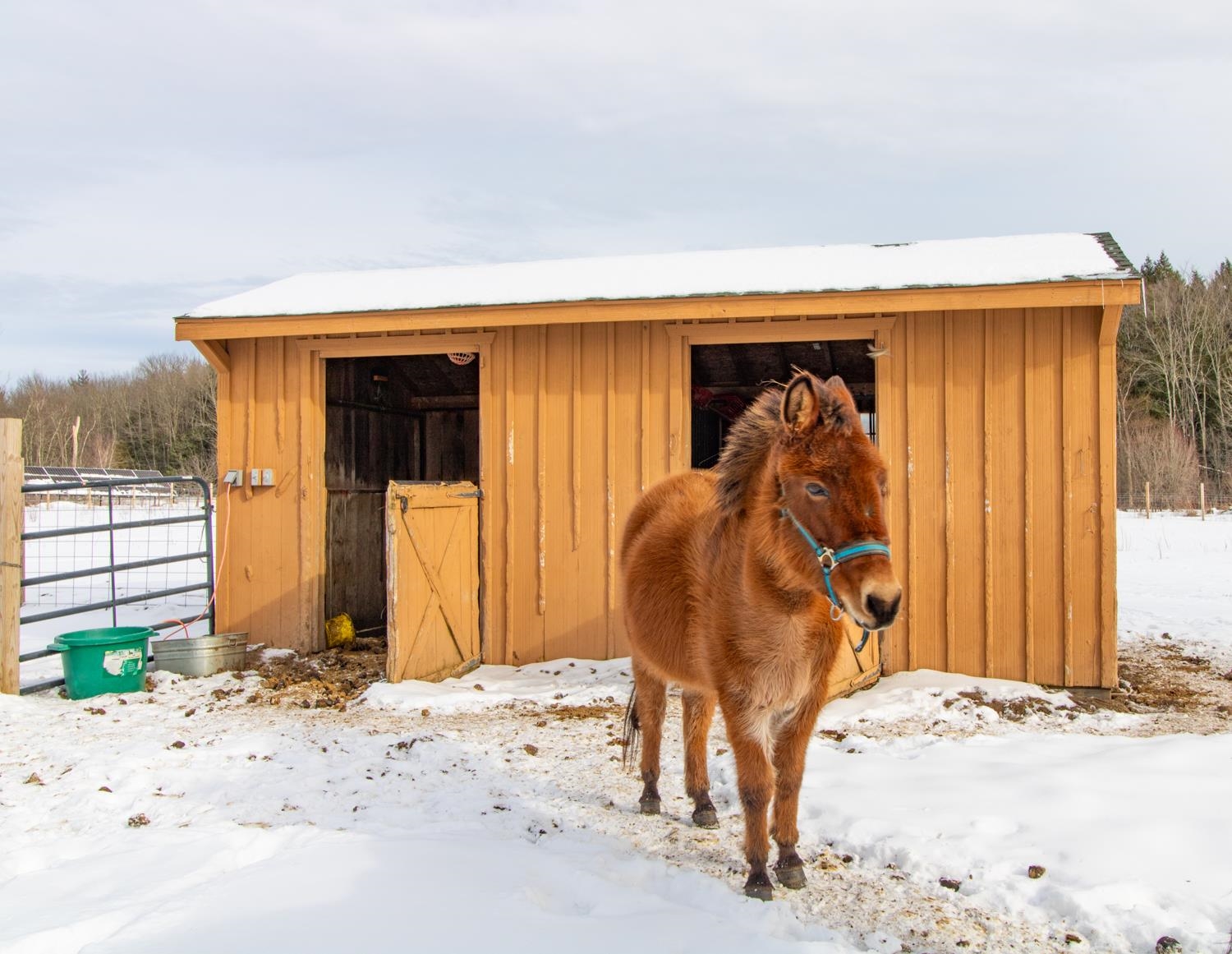 267 Hill Road Fairfield, VT 05455 - Photo 39 of 40