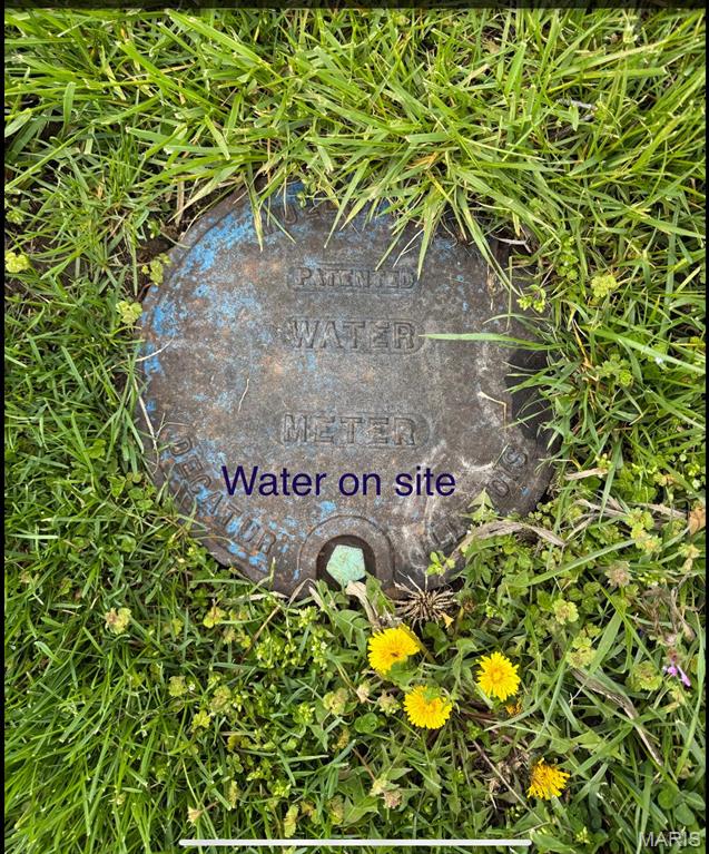 0 Katich Lane Gillespie, IL 62033 - Photo 3 of 11