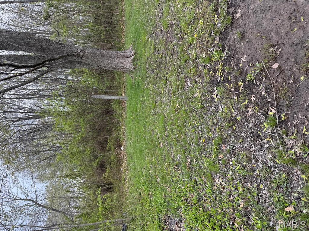 0 Katich Lane Gillespie, IL 62033 - Photo 4 of 11