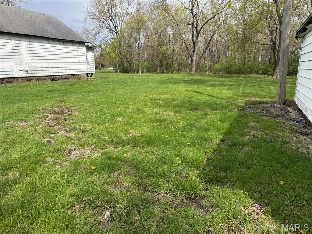 0 Katich Lane Gillespie, IL 62033 - Photo 5 of 11