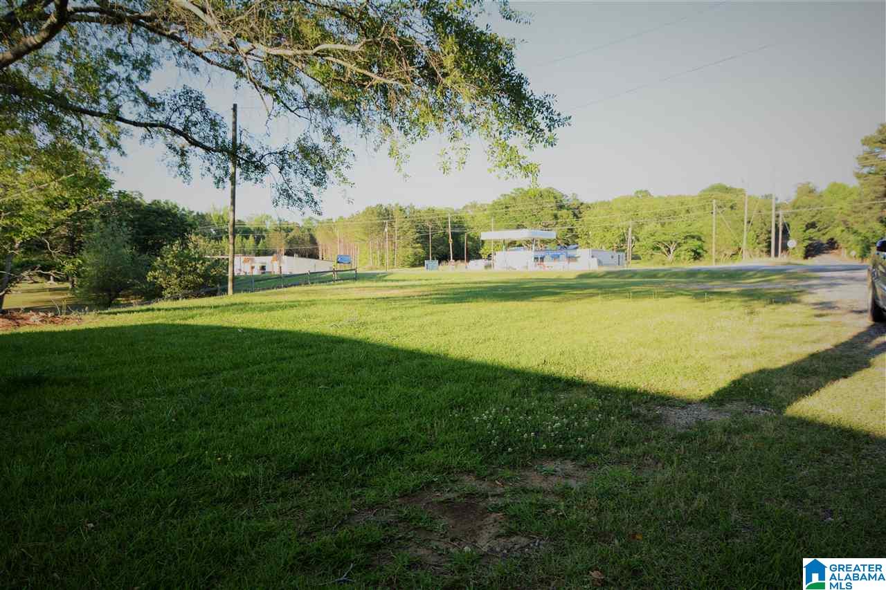 1185 Logan Martin Dam Road Vincent, AL 35178 - Photo 28 of 39