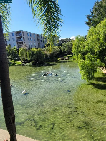 a view of a chairs and table in the garden