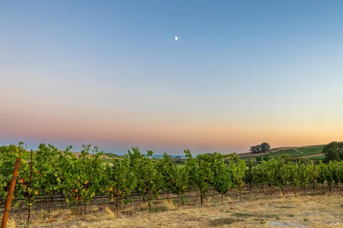 $3,995,000 | 1299 Duhig Road, Napa, CA 94559