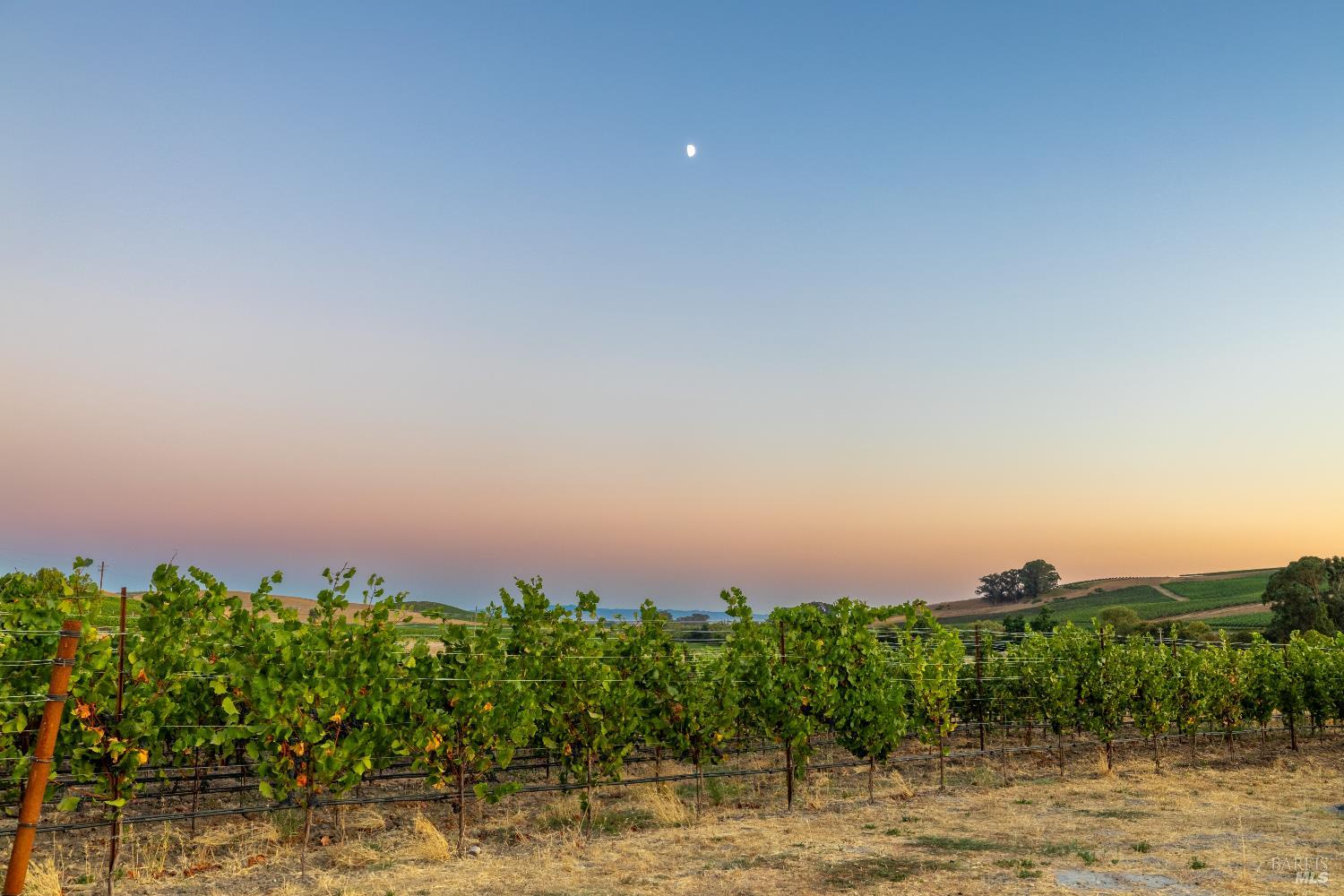 1299 Duhig Road Napa, CA 94559 - Photo 1 of 10