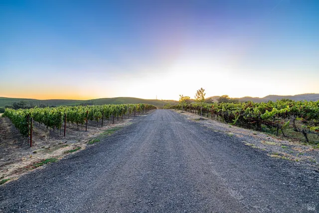 $3,995,000 | 1299 Duhig Road, Napa, CA 94559