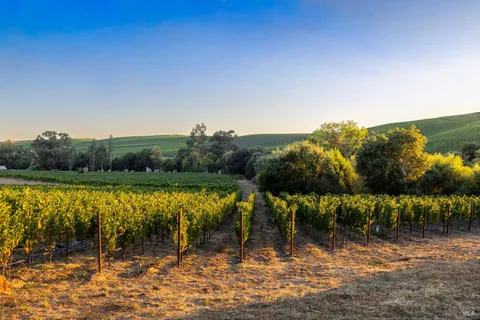 $3,995,000 | 1299 Duhig Road, Napa, CA 94559