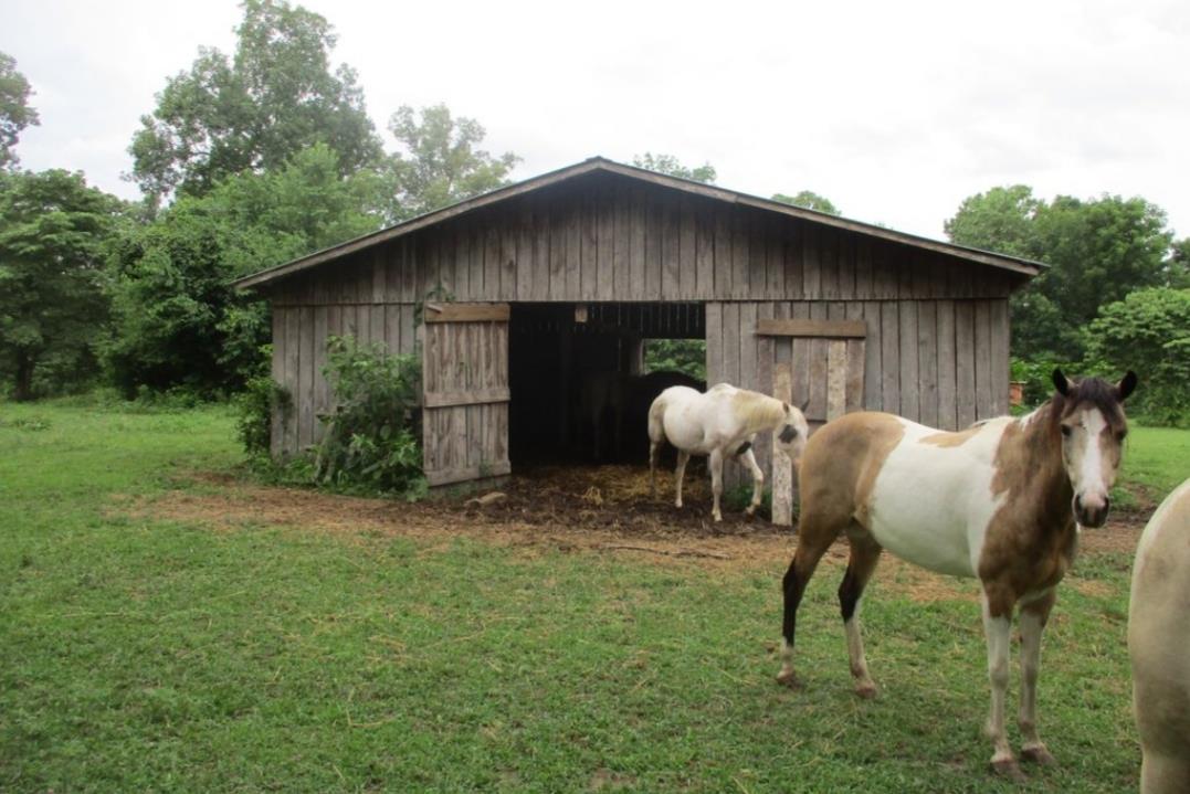 2115 Warren Road Manchester, TN 37355 - Photo 16 of 22