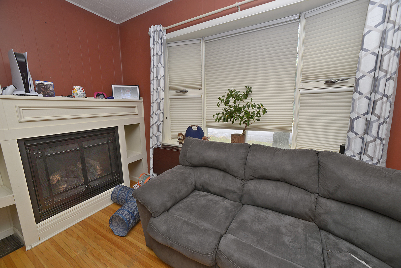 1050 State Street Ottawa, IL 61350 - Photo 7 of 25 a living room with furniture a fireplace and a potted plant
