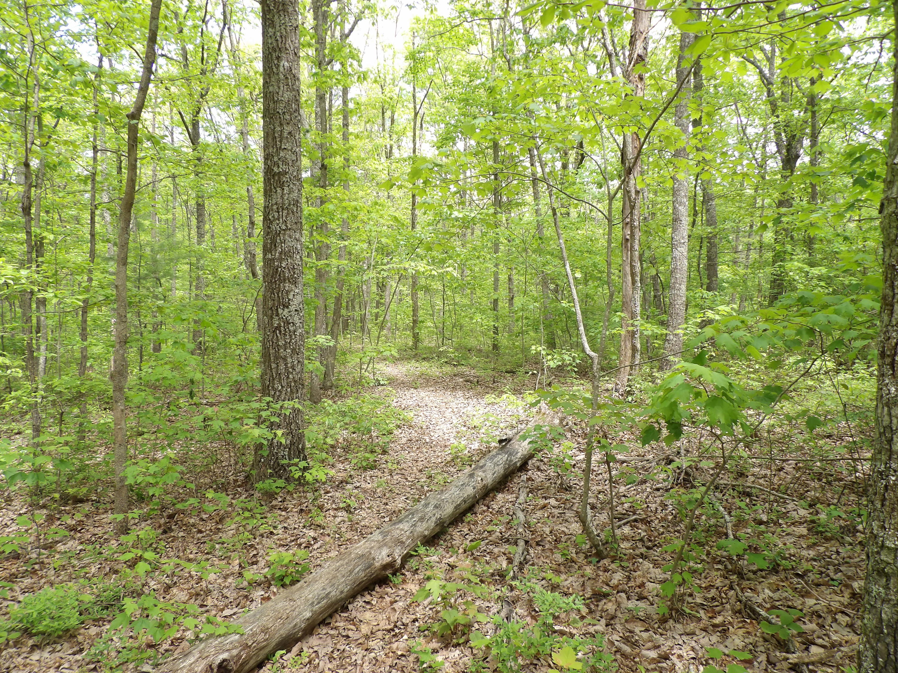 5 Jason Road, Unit 118 Pikeville, TN 37367 - Photo 1 of 16 100_0961