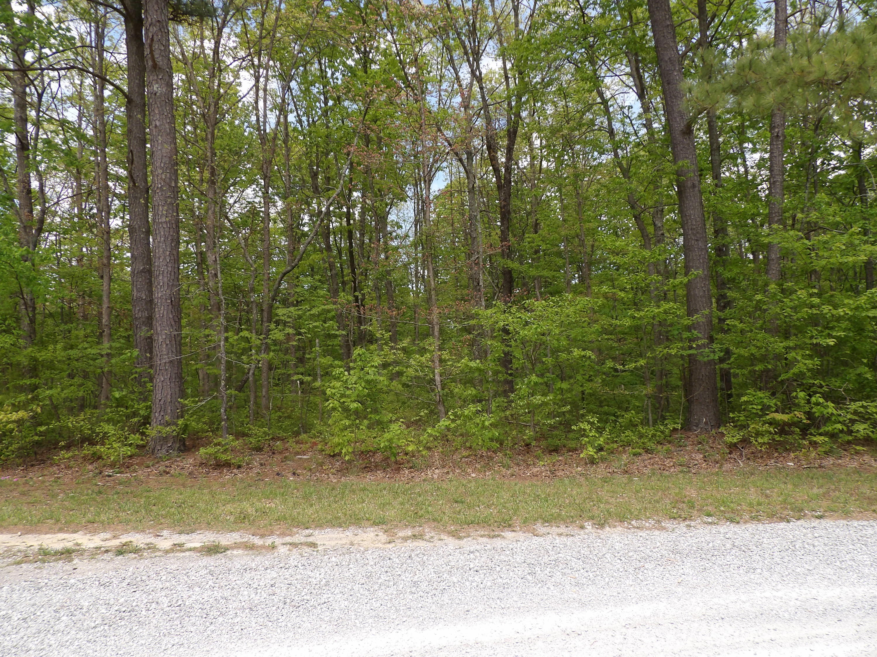 5 Jason Road, Unit 118 Pikeville, TN 37367 - Photo 3 of 16 100_0956