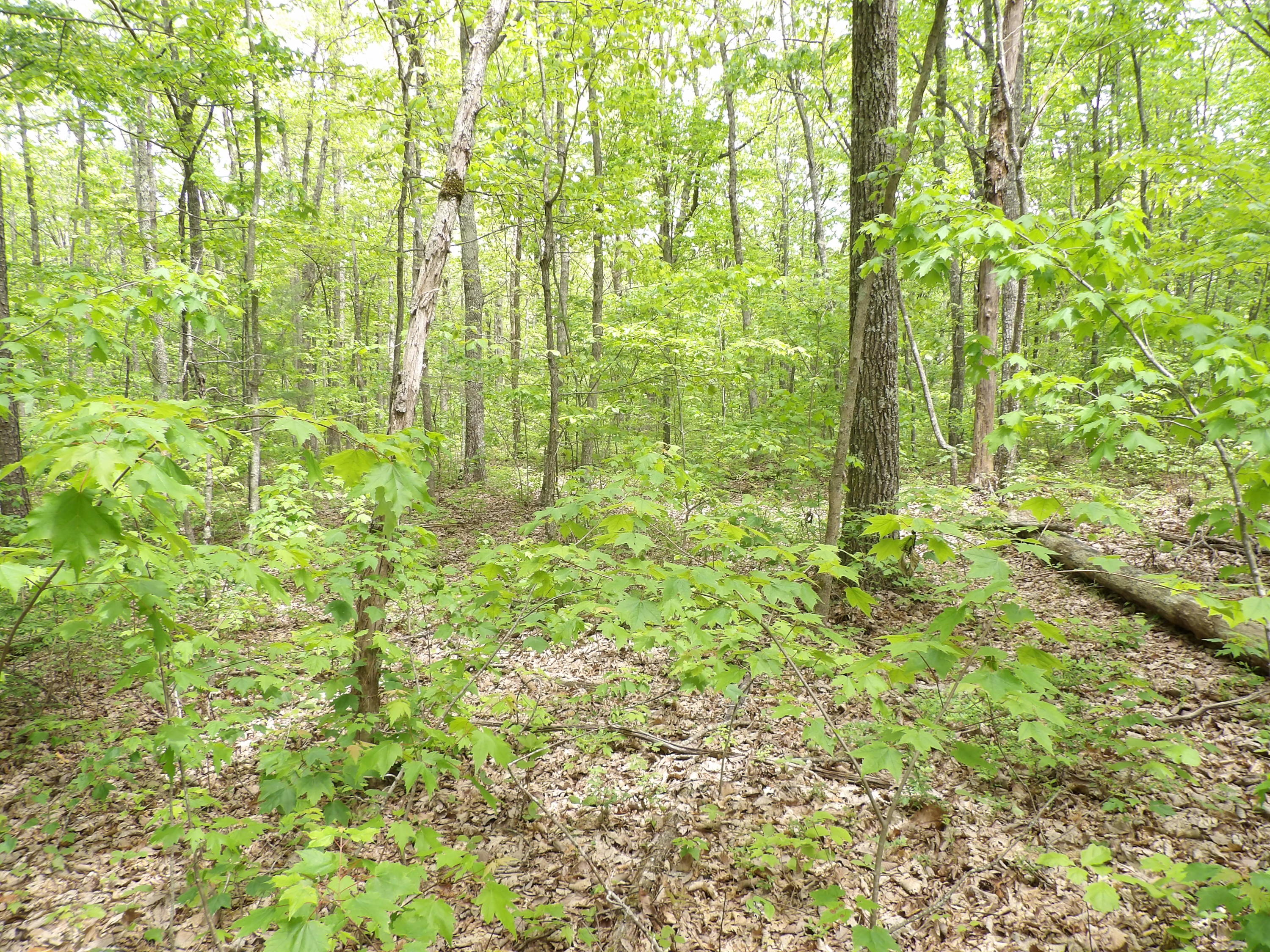 5 Jason Road, Unit 118 Pikeville, TN 37367 - Photo 7 of 16 100_0960