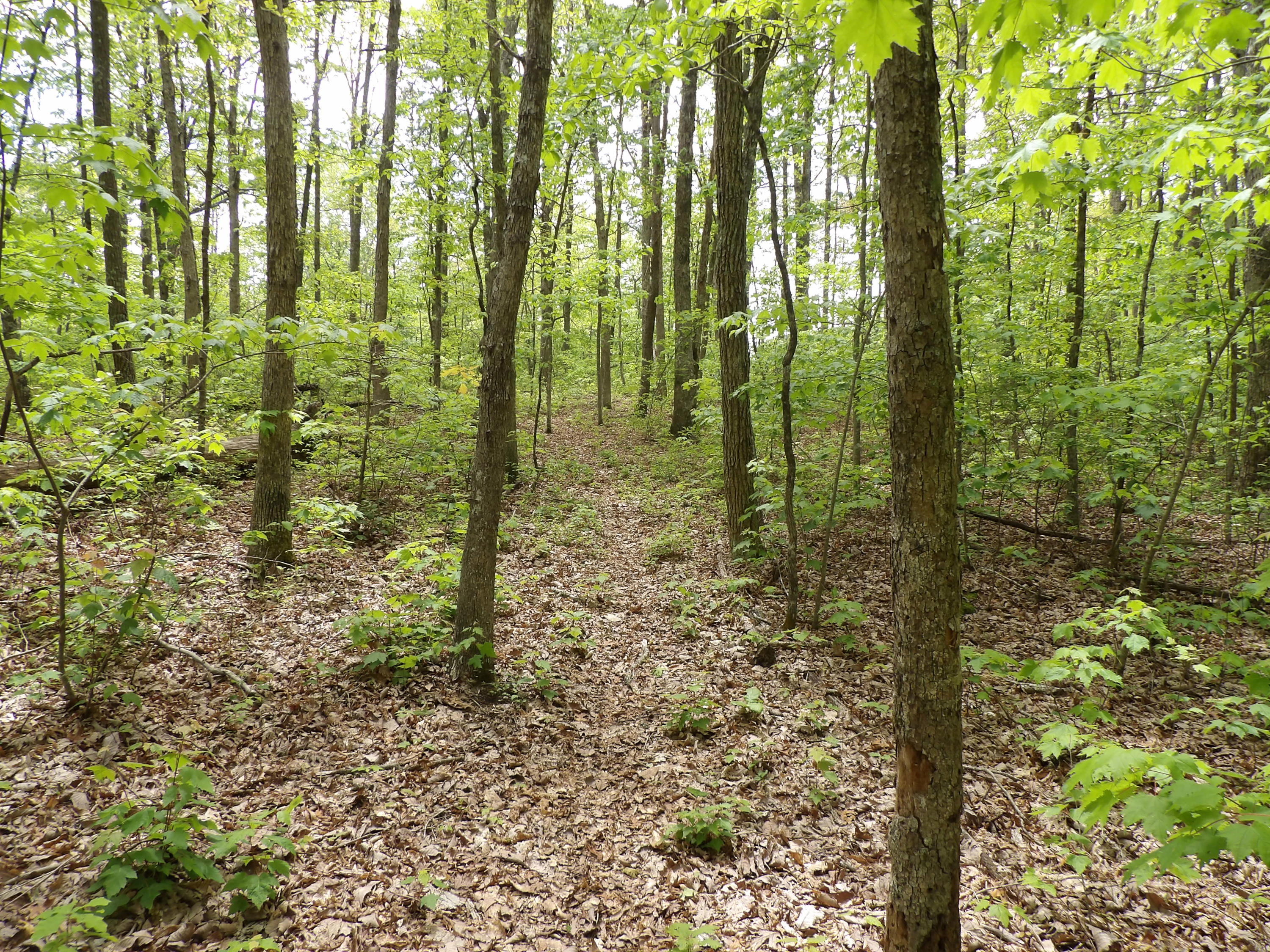 5 Jason Road, Unit 118 Pikeville, TN 37367 - Photo 8 of 16 100_0962