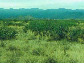 0 South Price Ranch Road Pearce, AZ 85625 - Photo 1 of 1