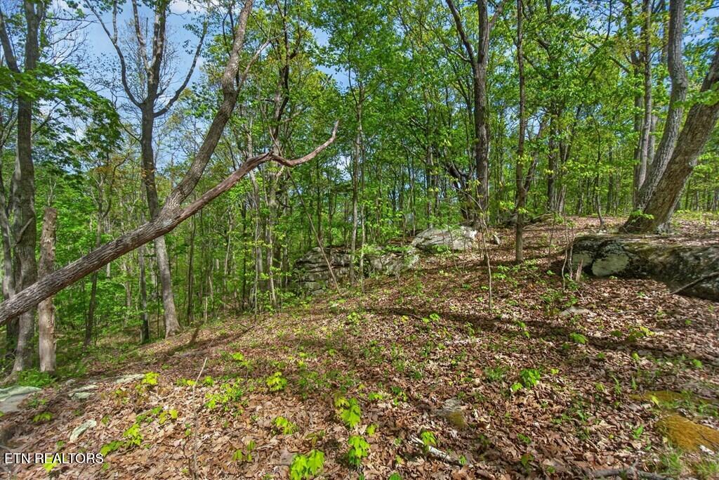 751 West Bluff Road Pikeville, TN 37367 - Photo 15 of 19 243828_20