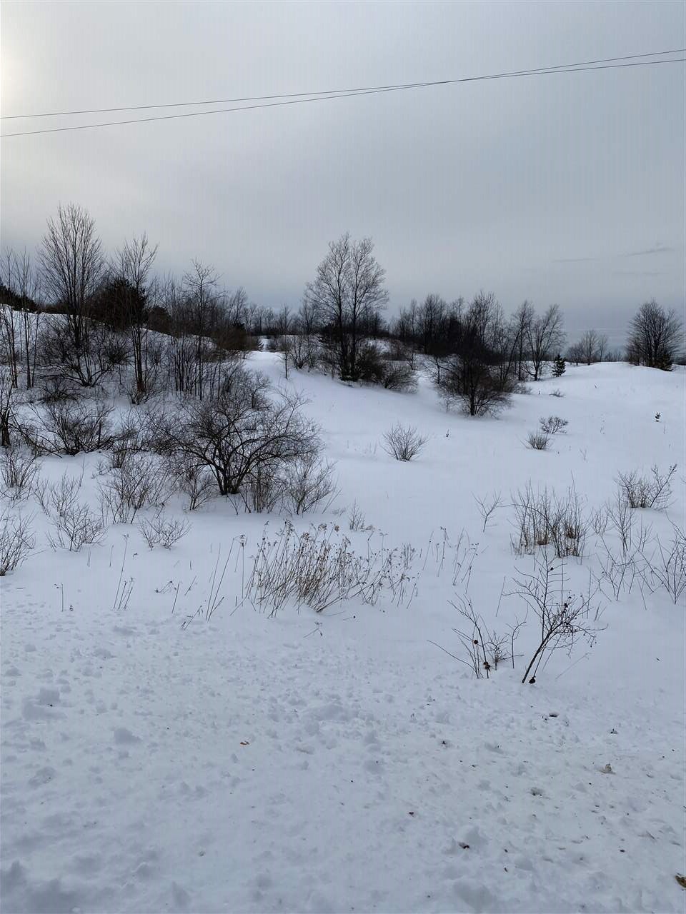 295 Aller Road Northeast Kalkaska, MI 49646 - Photo 5 of 6 1871891-4.JPG