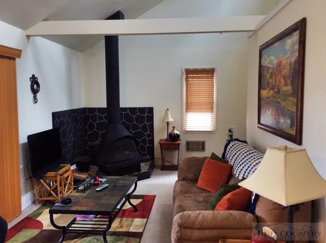 764 Laurel Ridge Banner Elk, NC 28604 - Photo 16 of 21 Gallery Image 16
