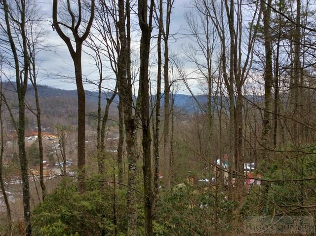 764 Laurel Ridge Banner Elk, NC 28604 - Photo 7 of 21 Gallery Image 7