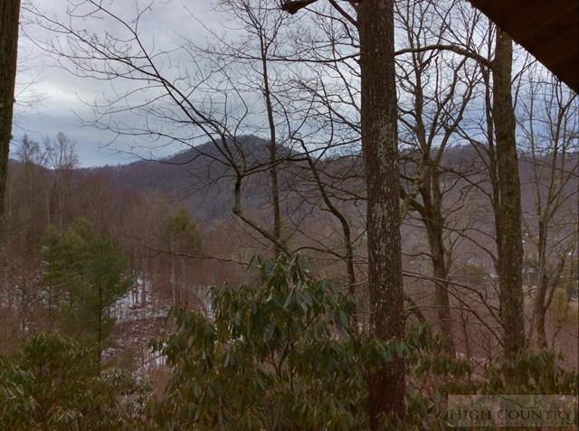 764 Laurel Ridge Banner Elk, NC 28604 - Photo 9 of 21 Gallery Image 9