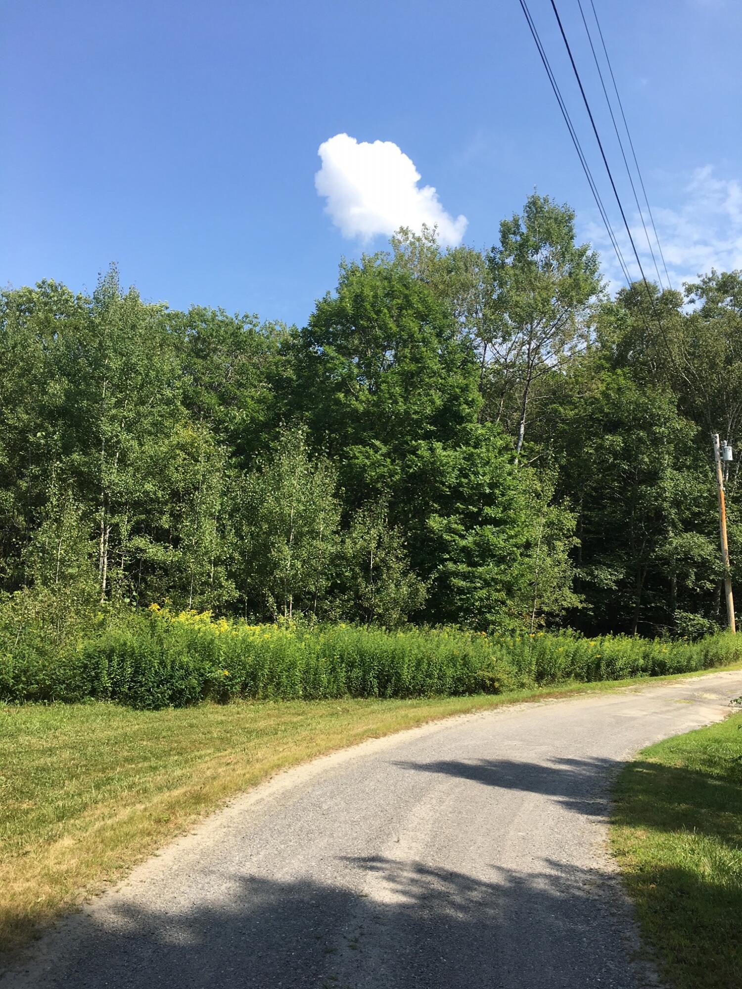 0 Shea Road Wiscasset, ME 04578 - Photo 5 of 8 IMG_5328