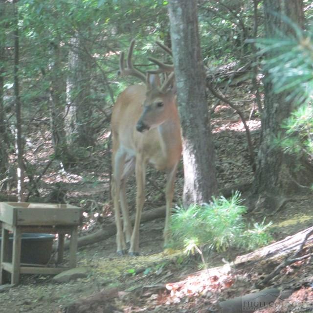420 Cameron Mountain Road Jefferson, NC 28629 - Photo 16 of 27 Gallery Image 16