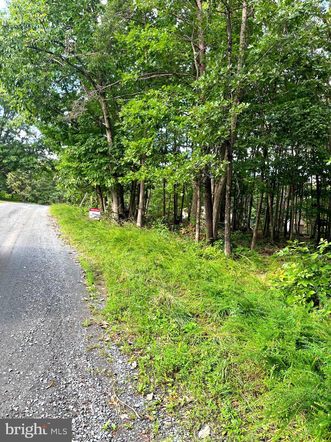 0 Willis Road Orange, VA 22960 - Photo 1 of 5 Gallery Image 1