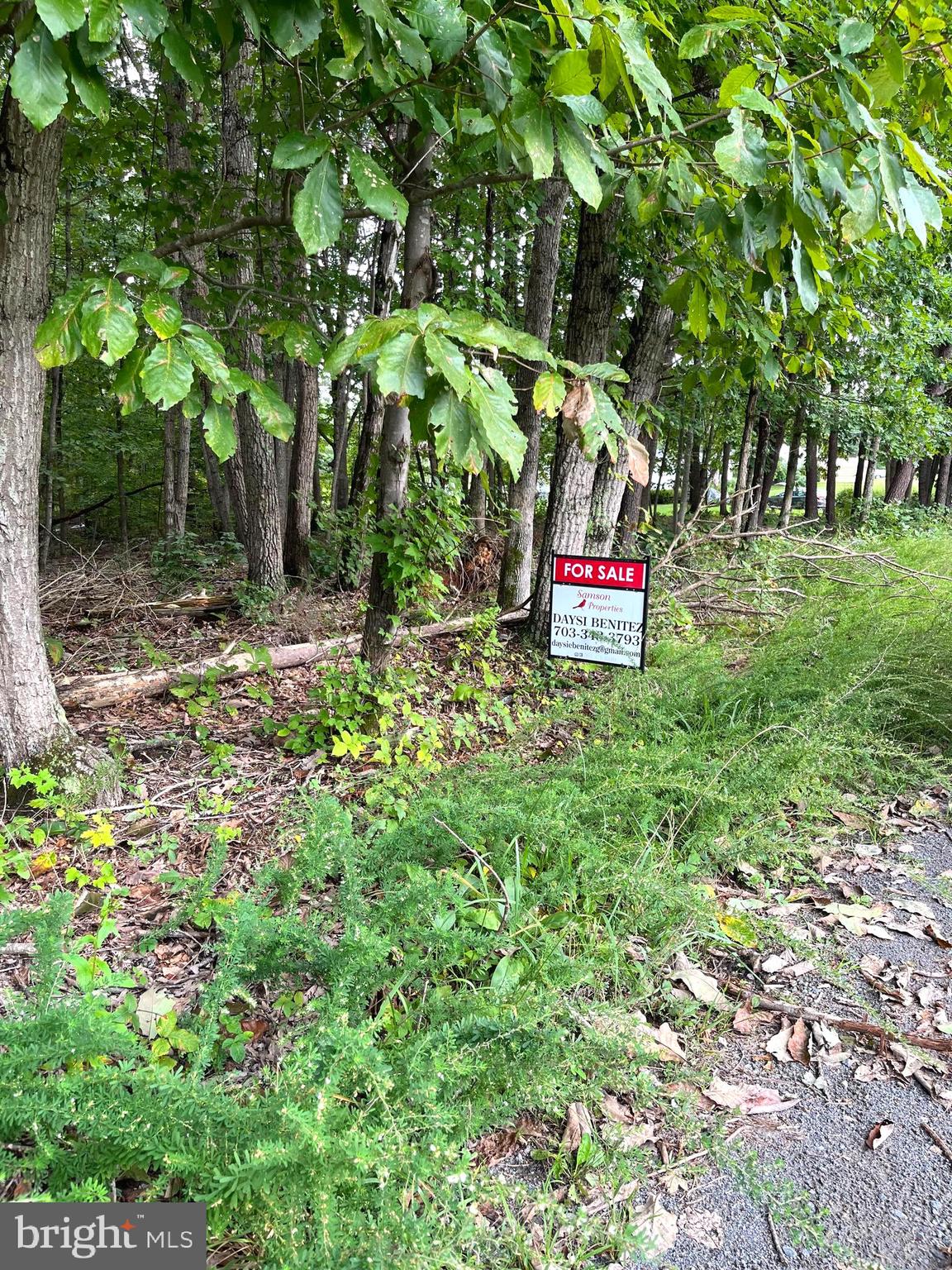 0 Willis Road Orange, VA 22960 - Photo 4 of 5 Gallery Image 4
