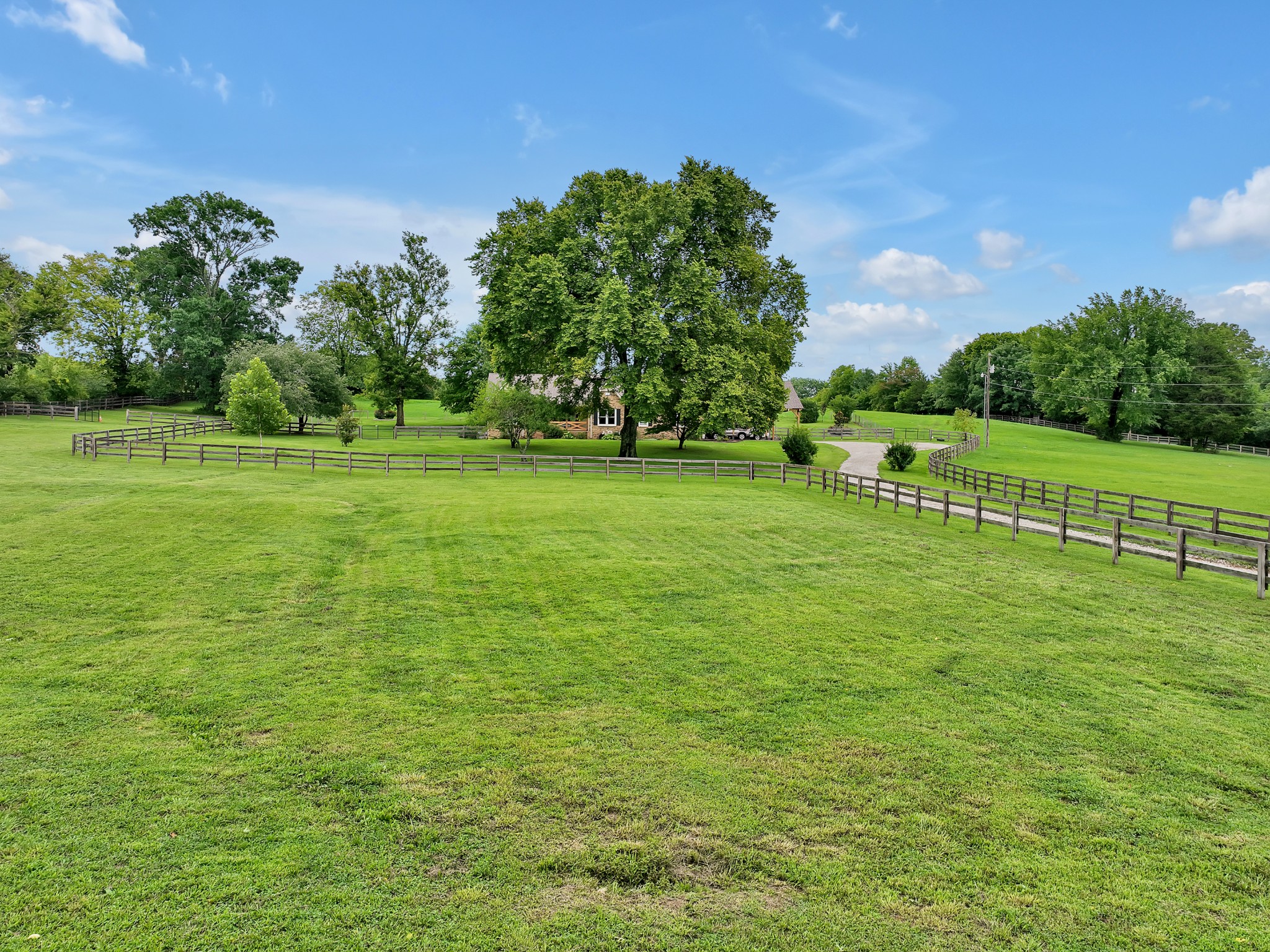 1106 Rip Steele Road Columbia, TN 38401 - Photo 34 of 70 a view of a grassy field with trees