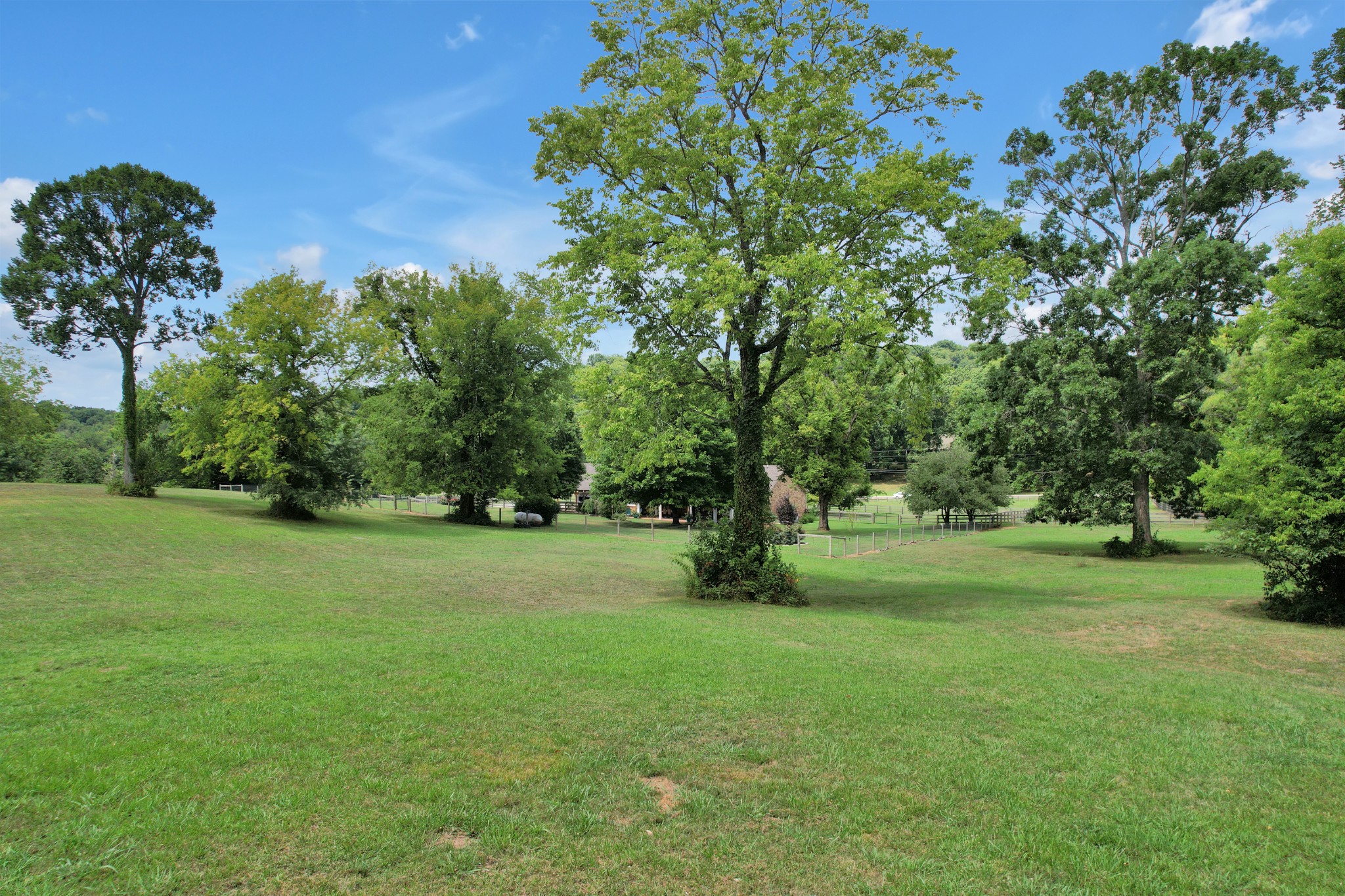 1106 Rip Steele Road Columbia, TN 38401 - Photo 44 of 70 a view of field with trees in the background