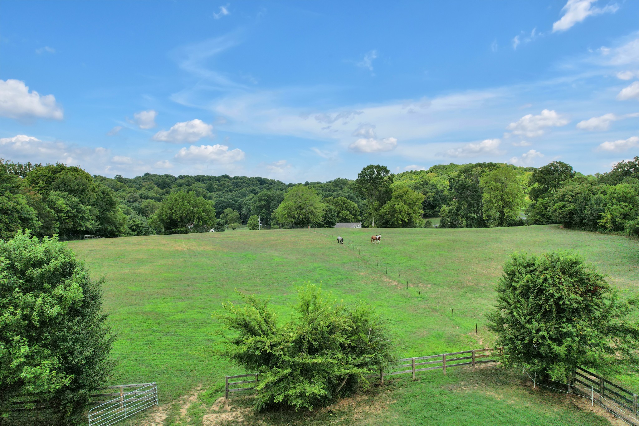 1106 Rip Steele Road Columbia, TN 38401 - Photo 45 of 70 a view of a green field with wooden fence