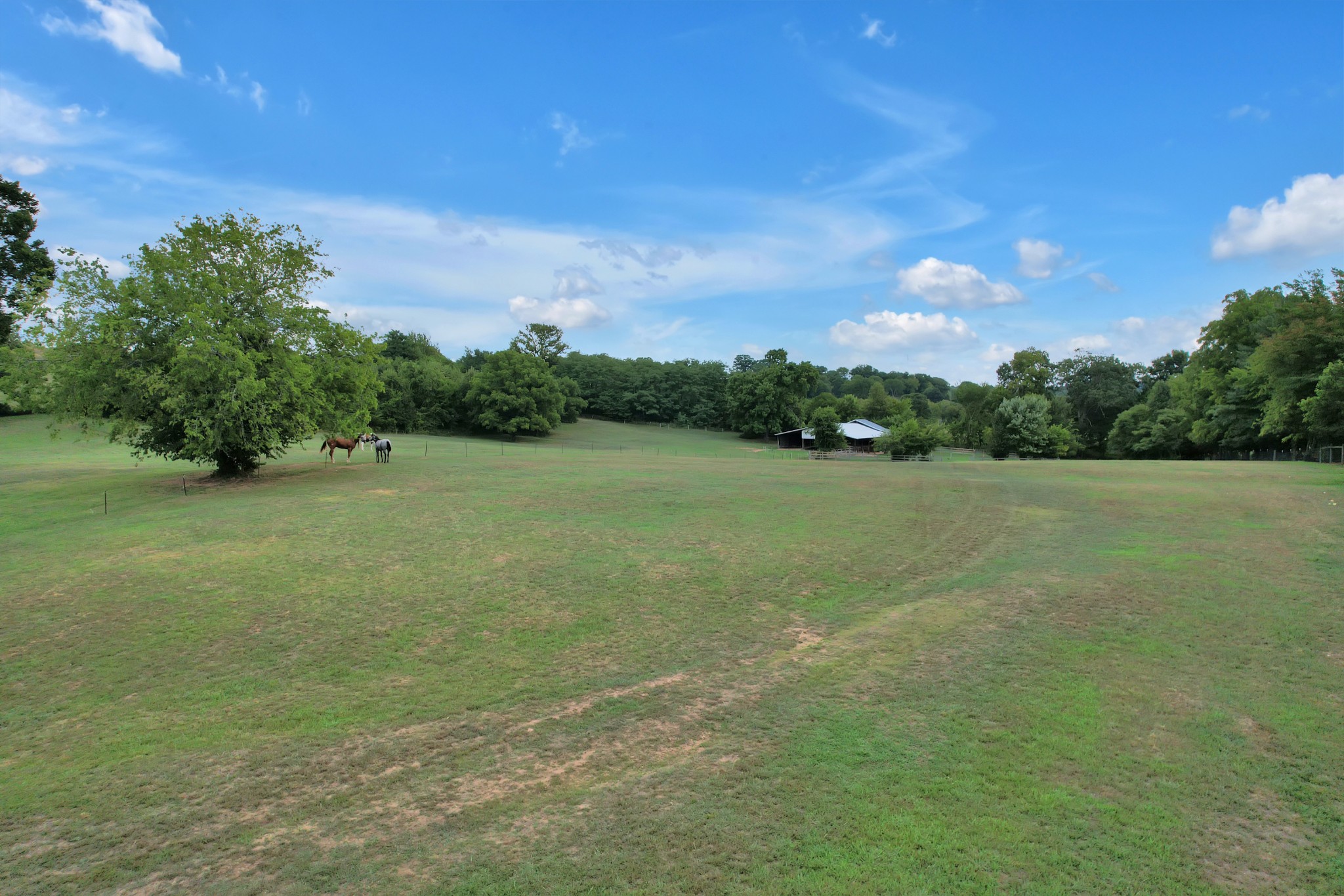 1106 Rip Steele Road Columbia, TN 38401 - Photo 47 of 70 a view of a lake with houses in the background