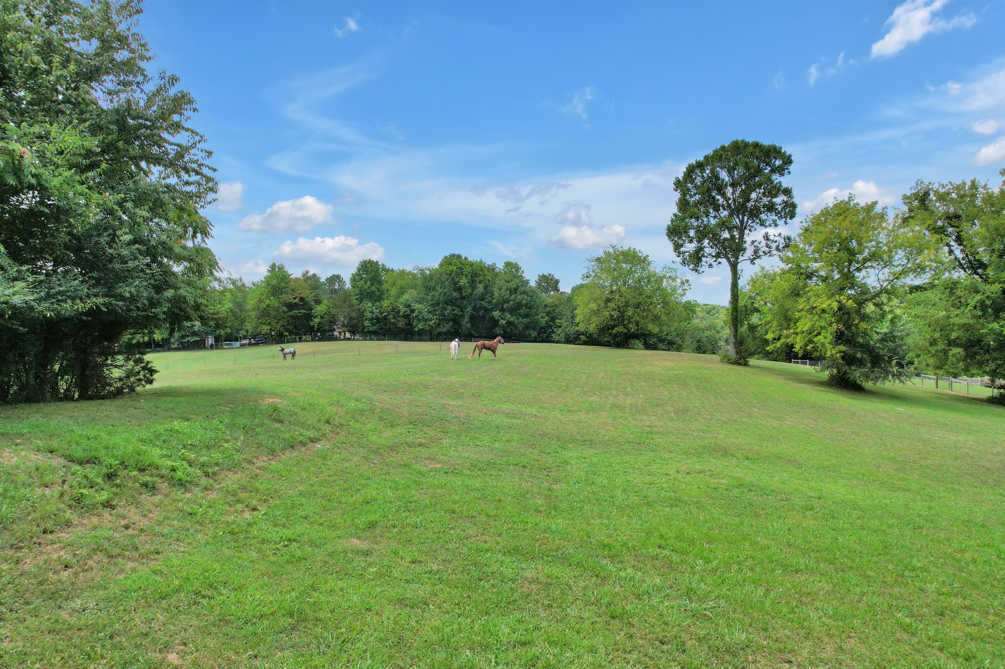 1106 Rip Steele Road Columbia, TN 38401 - Photo 49 of 70