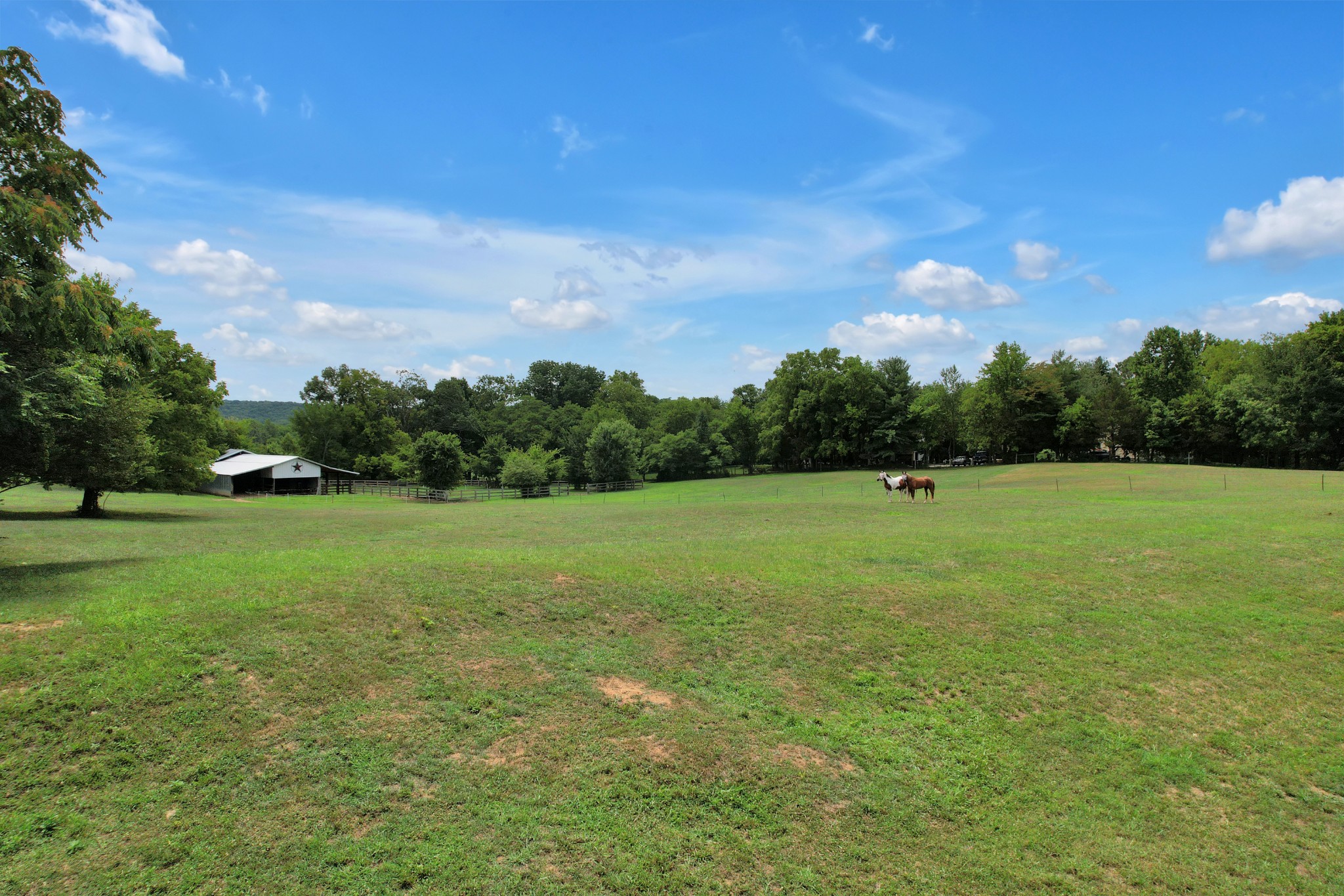 1106 Rip Steele Road Columbia, TN 38401 - Photo 50 of 70 a view of a green field with clear sky
