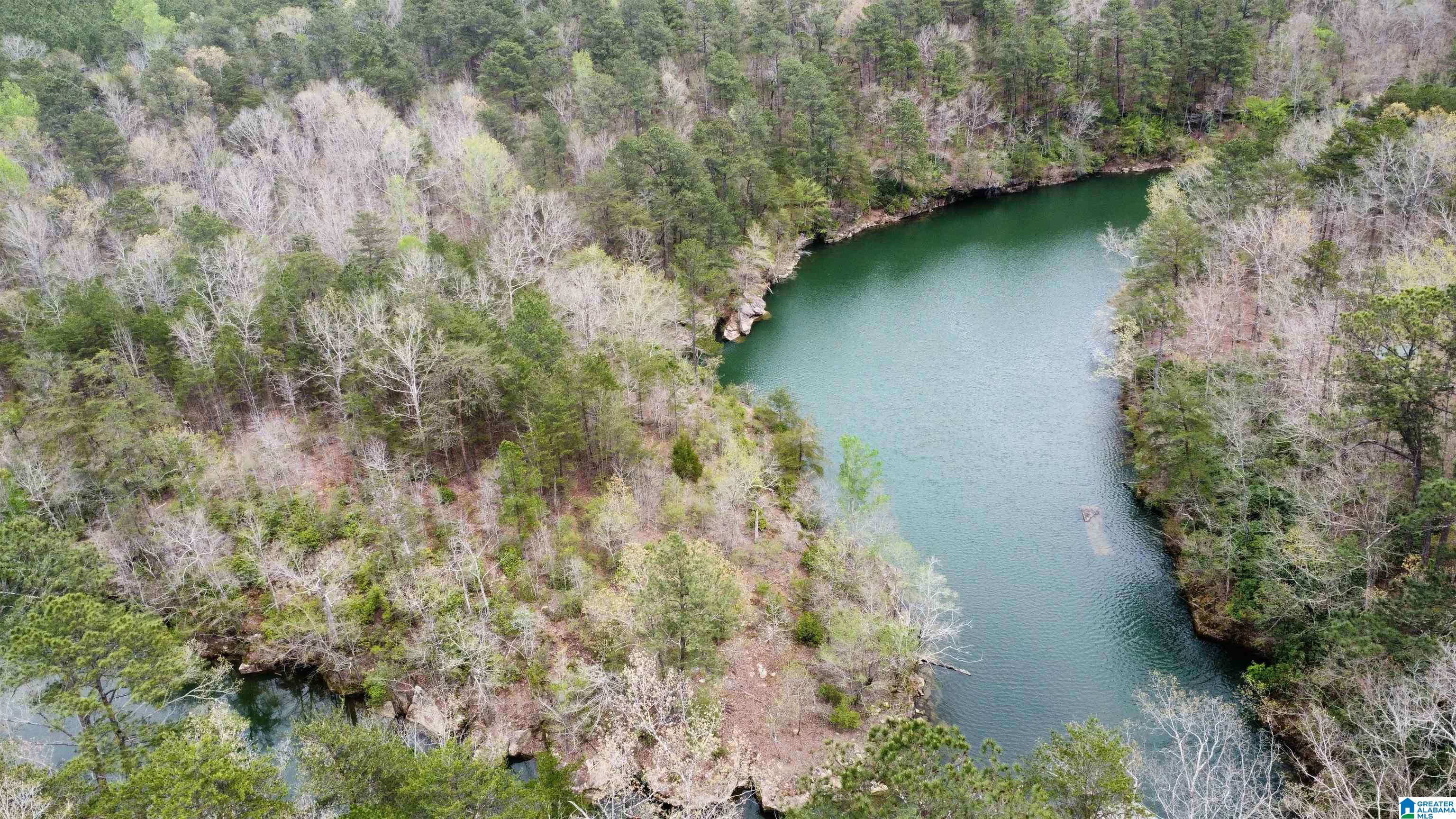 Lot 5 Little Dismal Road, Unit 5 Arley, AL 35541 - Photo 4 of 12
