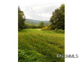 366 Blue Hill Road Marshall, NC 28753 - Photo 13 of 24