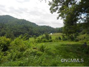 366 Blue Hill Road Marshall, NC 28753 - Photo 5 of 24